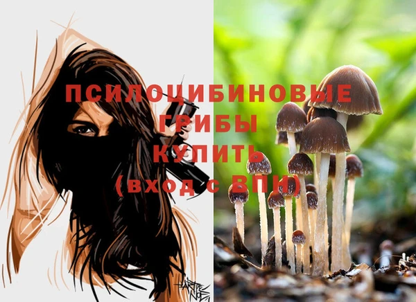кокаин перу Алзамай